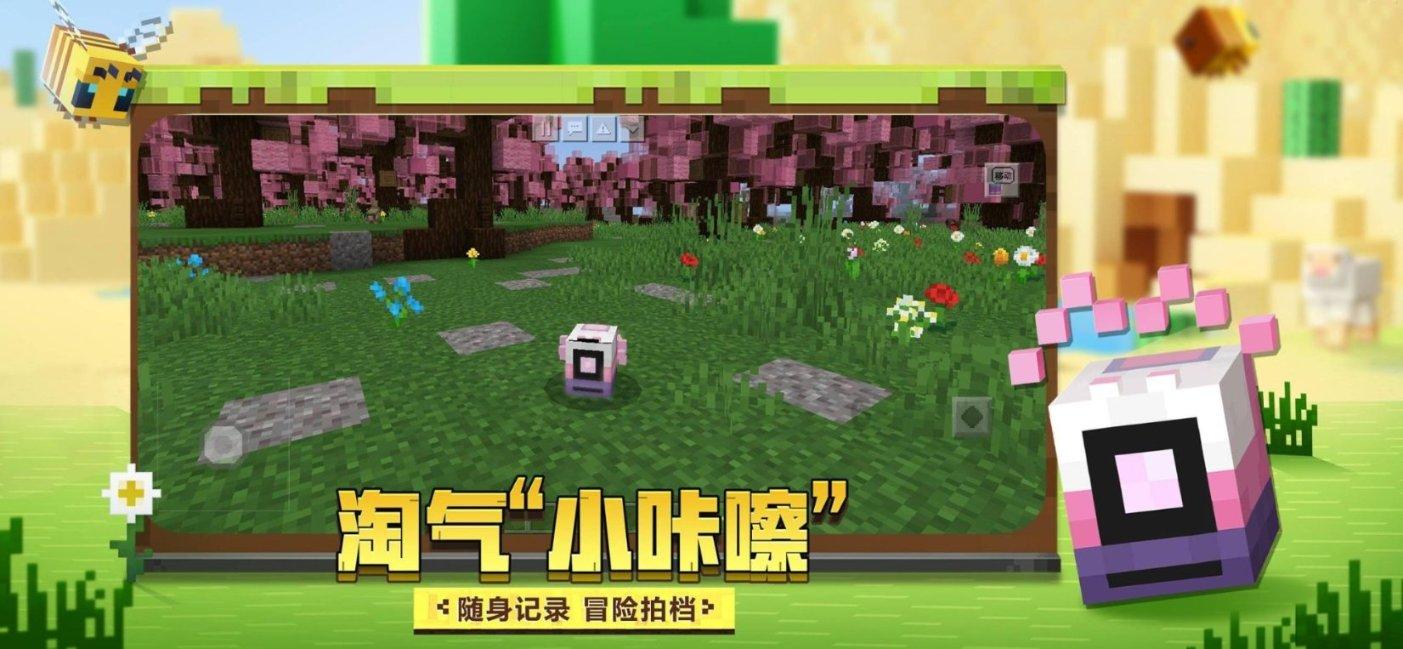 月光影视