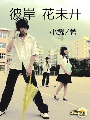 探索知识星球平台|快点波APP全方位精彩内容